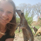 Profilbild für Isabelle Z
