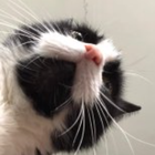 Profilbild für Isabel O