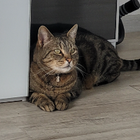 Profilbild für Tanja S
