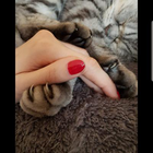 Profilbild für Christin M