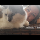 Profilbild für Larissa L