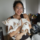 Profilbild für Yaning C