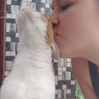 Profilbild für Mira P