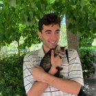 Profilbild für Vittorio M