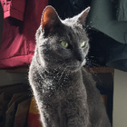 Avatar for Eleanor B