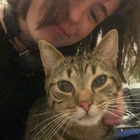 Profilbild für Pia S