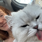 Profilbild für Anna W