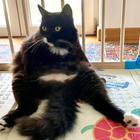 Profielfoto voor Laura B