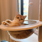 Profilbild für Sofia S