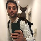 Avatar for Vittorio B