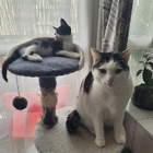 Avatar pour Marianne B