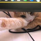 Avatar for kayleigh-Anne N