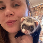 Profilbild für Anna E