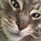 Profilbild für Angela K