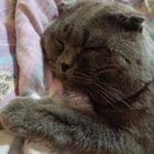 Profilbild für Charlie O