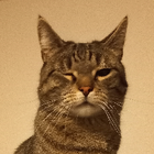 Profielfoto voor Lia B