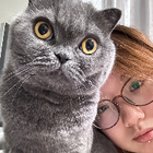 Profielfoto voor Yichen H