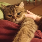 Profilbild für Sara D