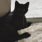 Profilbild für Adriana M