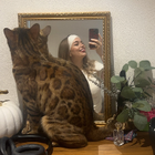 Profilbild für Nadine B