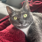 Profilbild für Kathrin A