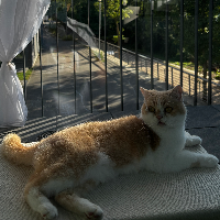 Profilbild für Esra S