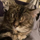 Avatar for Jennifer (Jenny) D