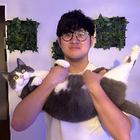 Profilbild für Cuong V
