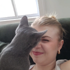 Profilbild für Carolin G