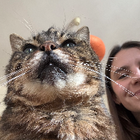 Avatar pour Camille E