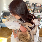 Profilbild für Tina N