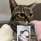 Profielfoto voor Yuexi L