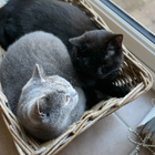 Avatar for Jessica F