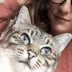 Avatar pour Camille D