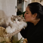 Profielfoto voor Joselyn S