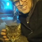 Profilbild für Arkin D