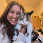 Profilbild für Anindita P