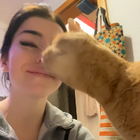 Profilbild für Hannah F
