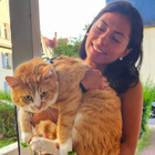 Profilbild für Yenny P