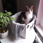 Avatar pour Fabien M