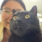 Profilbild für yin S