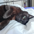 Profilbild für Jasmin K