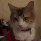 Profilbild für Ela K