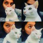 Avatar for Radhika R