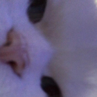 Profilbild für Wiktoria S