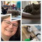 Profilbild für Silvia L