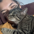 Profilbild für Lucie L