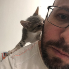 Avatar pour Matthieu A