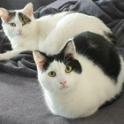 Profilbild für Jessica W