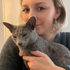 Profilbild für Julia B